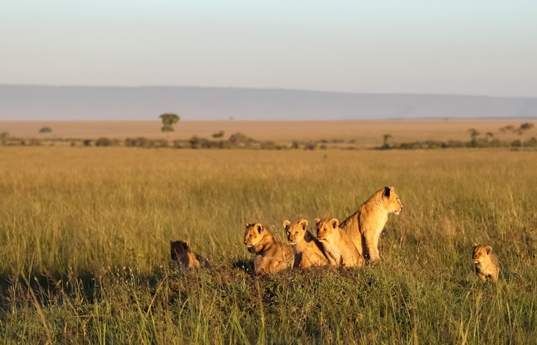 3 Days Lake Nakuru and Lake Naivasha Safari