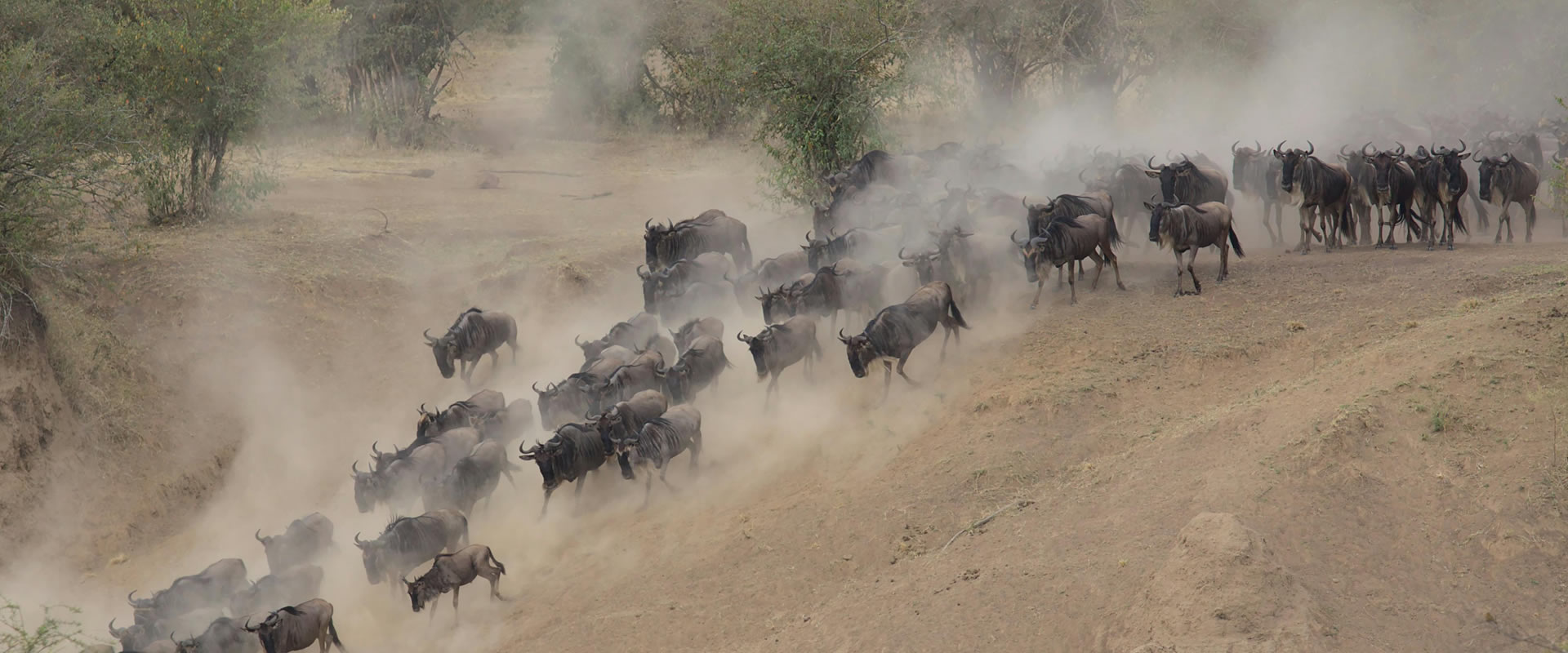 6 Days Masai Mara Lake Nakuru and Amboseli Safari