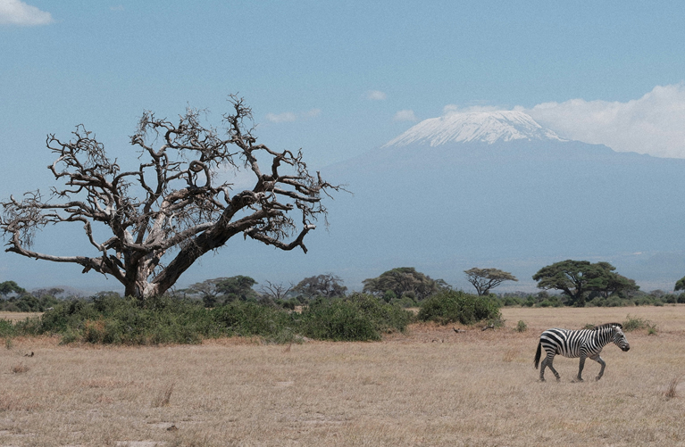 About Amboseli National Park