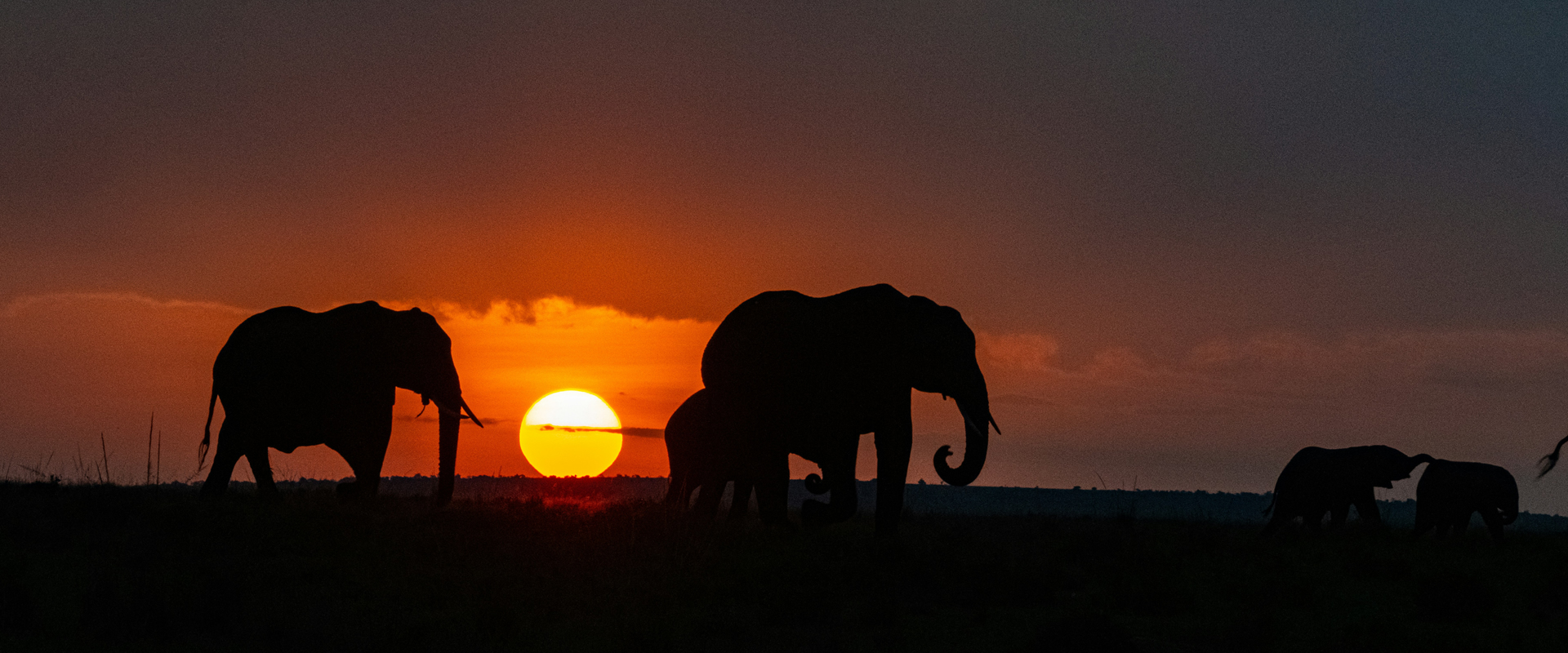 Sunset over Amboseli National Park