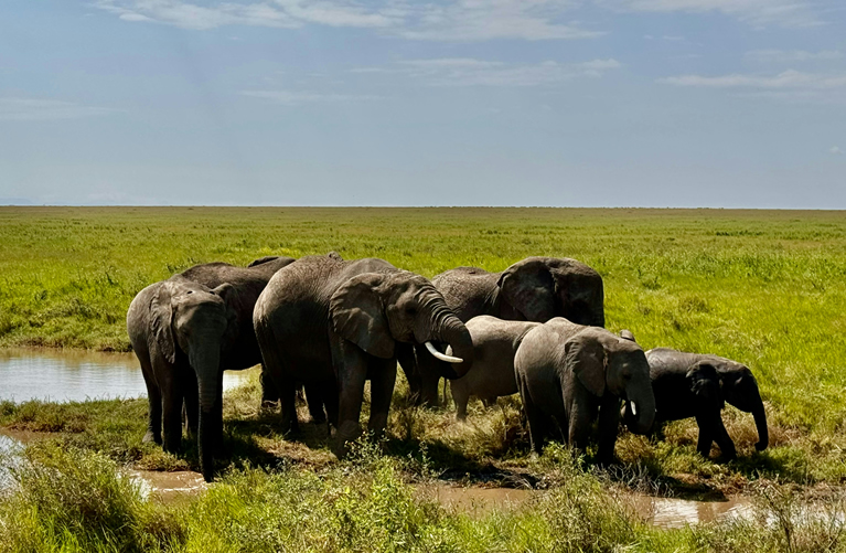Amboseli to Nairobi