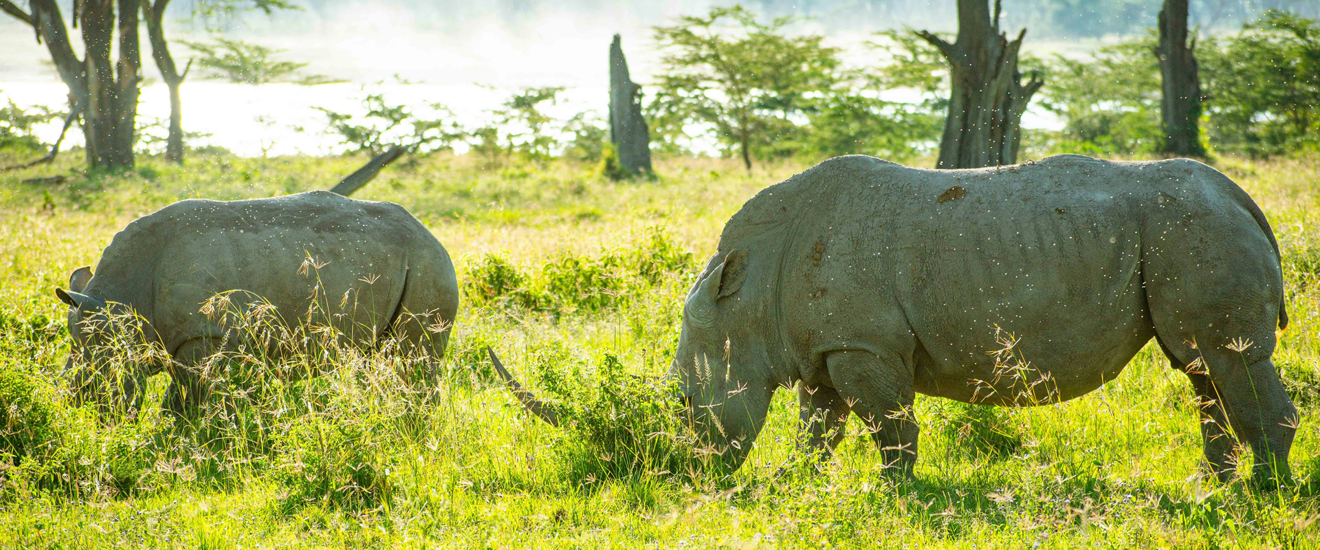 Aberdare to Samburu National Reserve