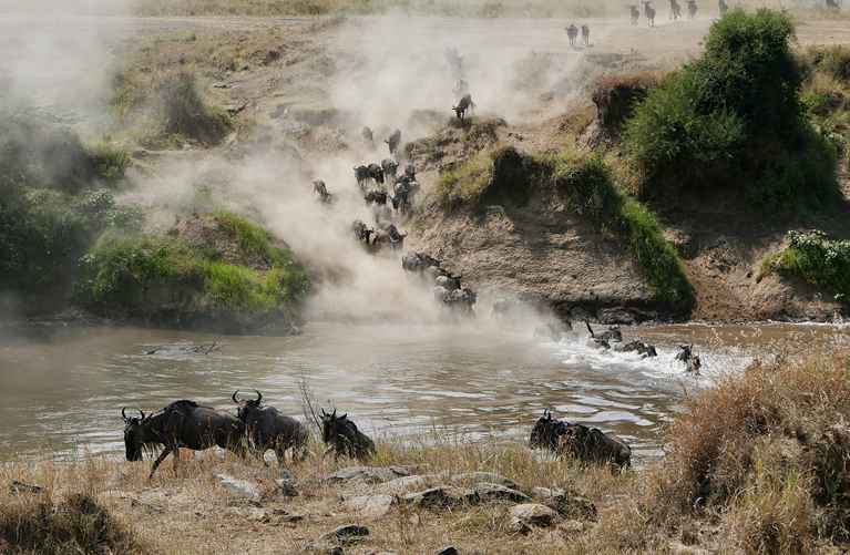 Lake Nakuru to Masai Mara