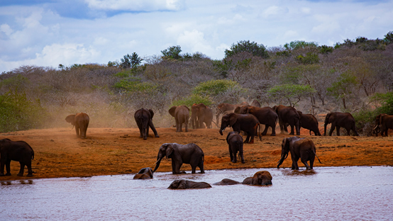 Taita Hills to Tsavo East National Park