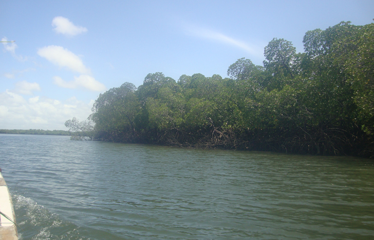 Funzi Island Day Trip