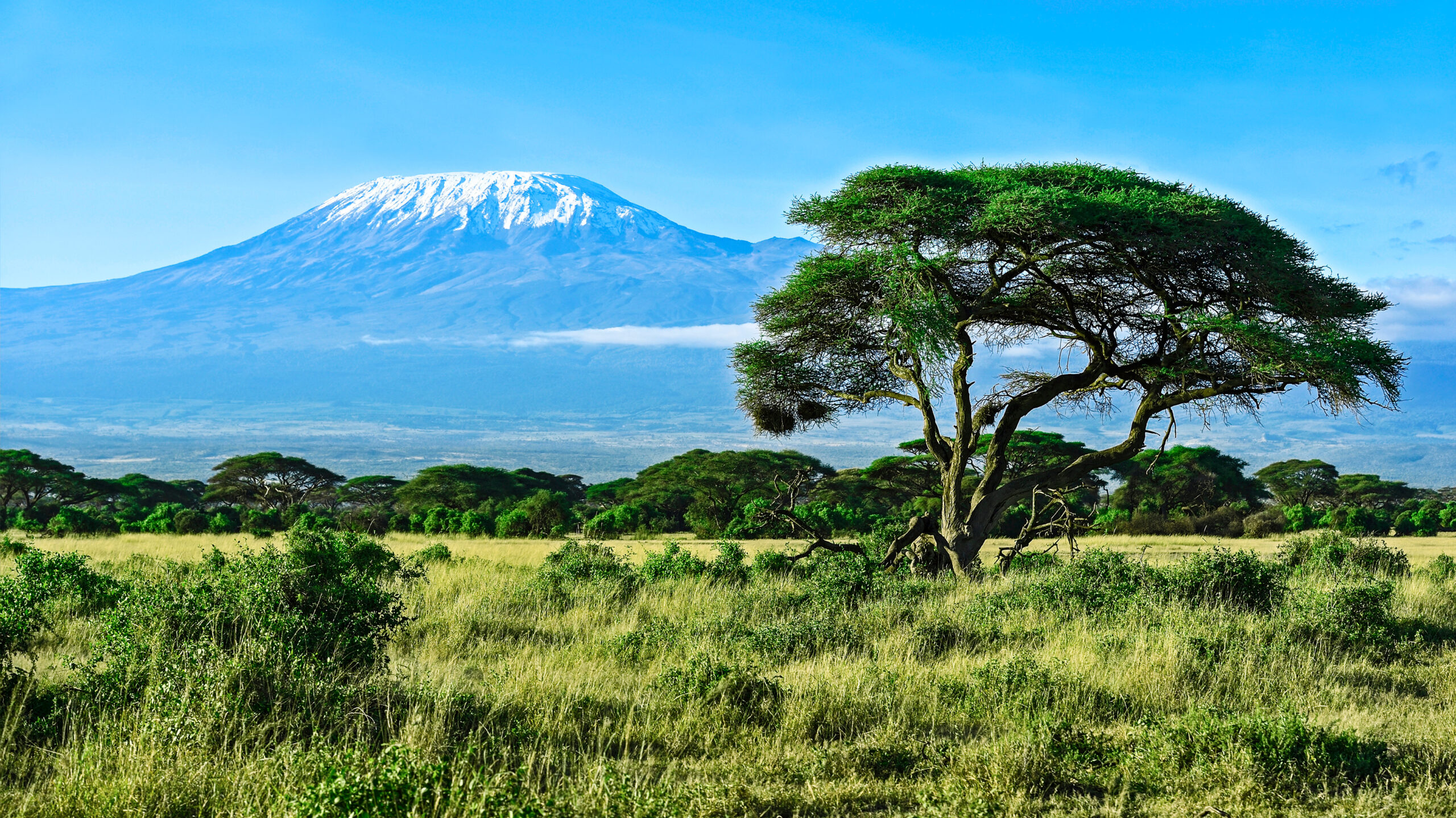 Machame Route on Mount Kilimanjaro