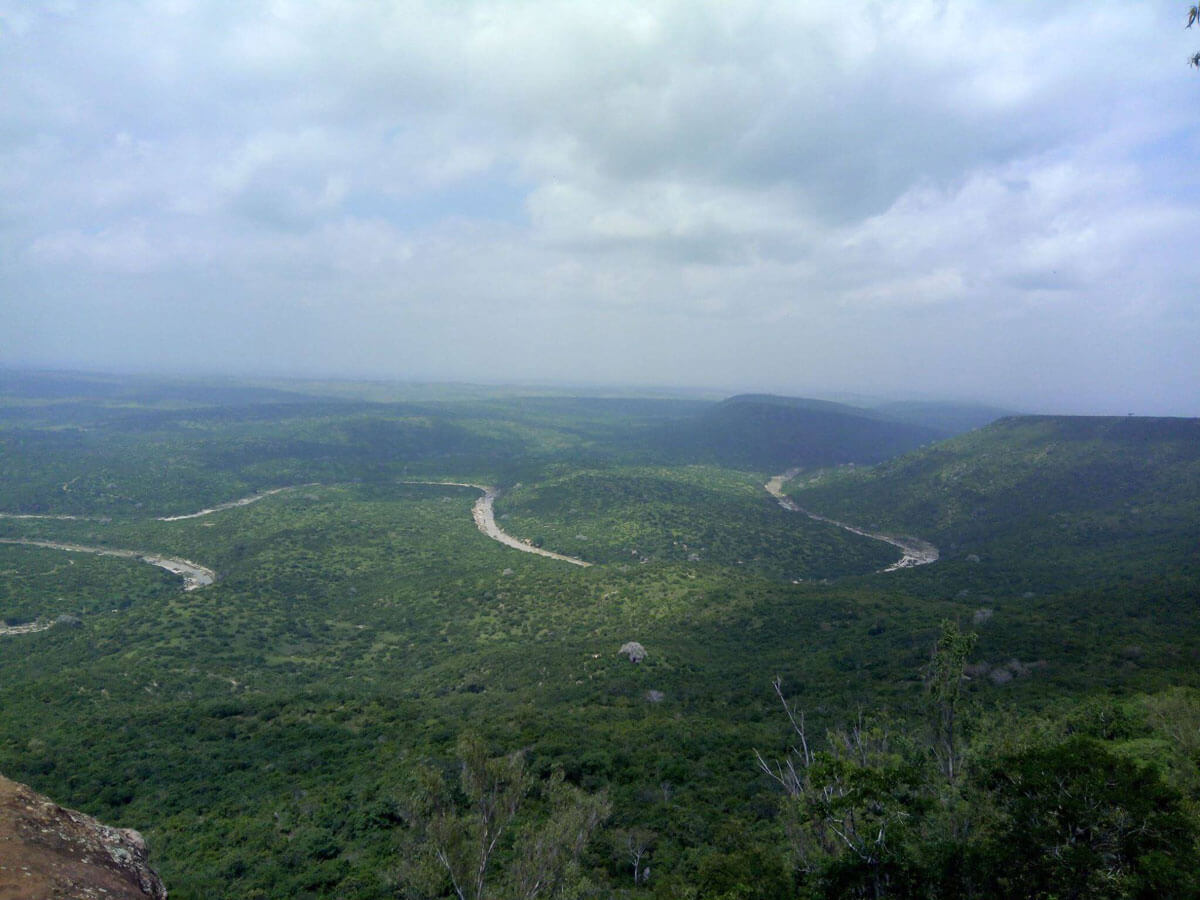Panoramic Views