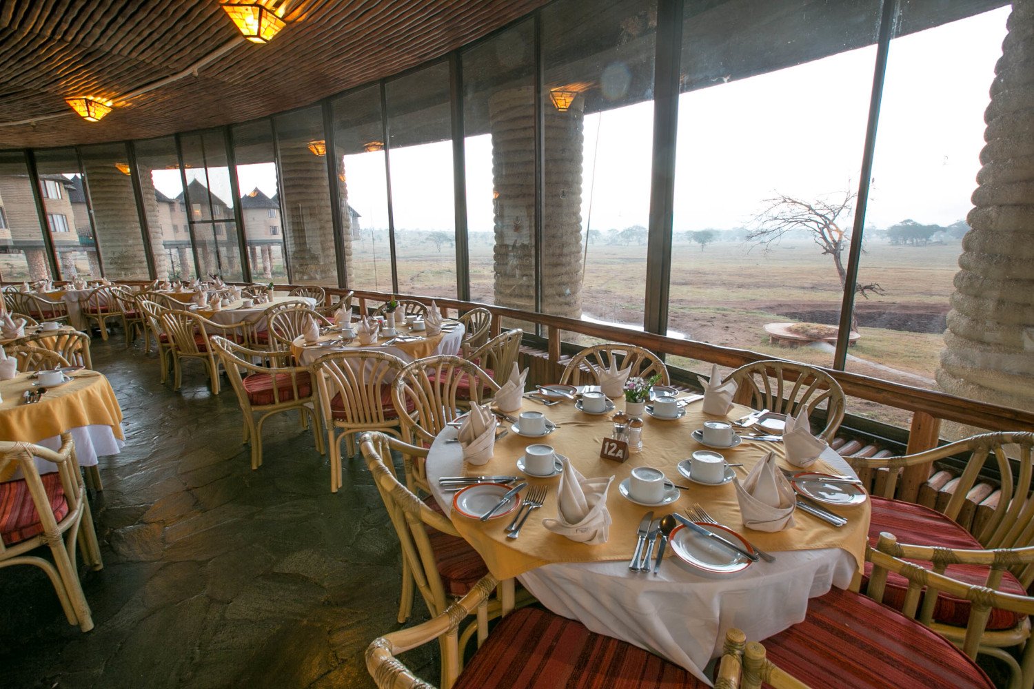 Game Drives and Sanctuary Experiences