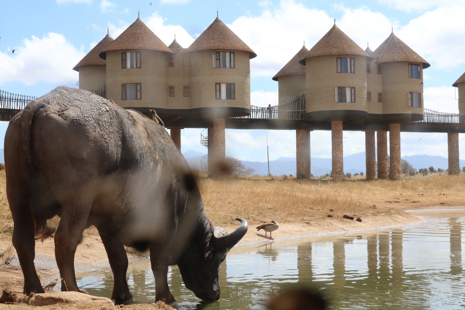 About Taita Hills Wildlife Sanctuary