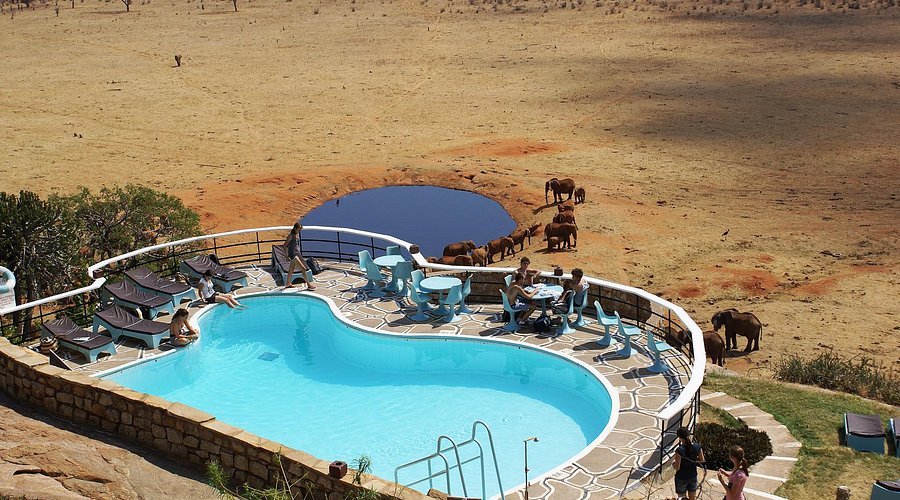 Lodges and Tented Camps