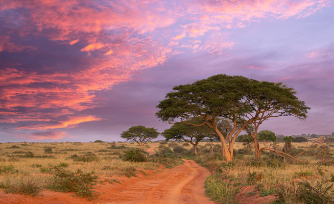 Sunset over Tsavo East National Park