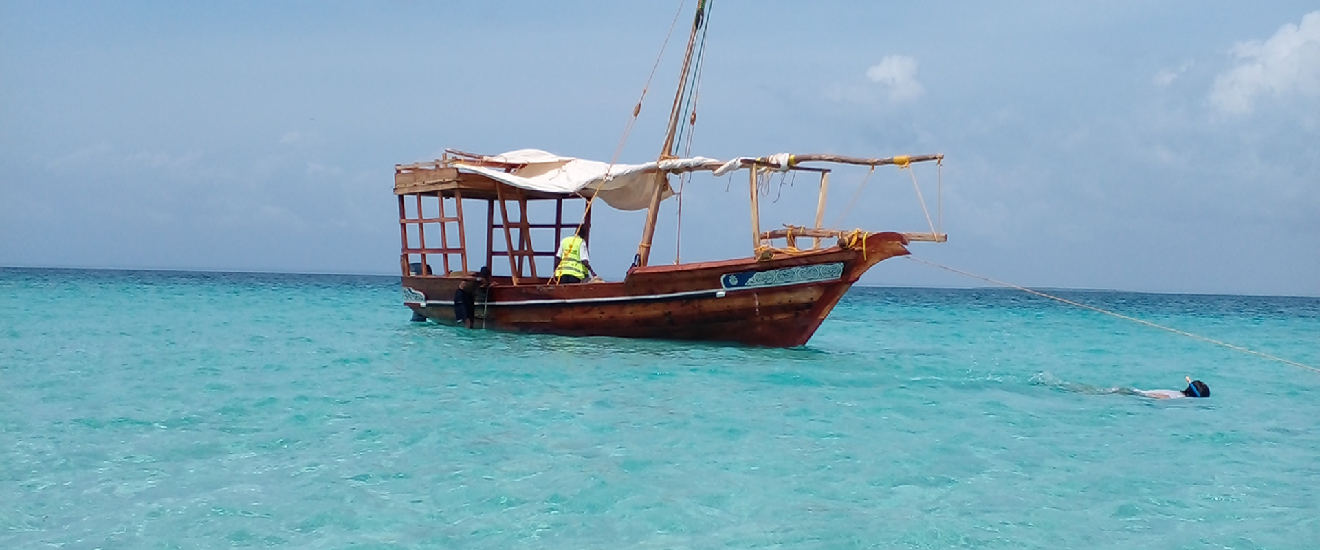Wasini Island Dolphin Tour